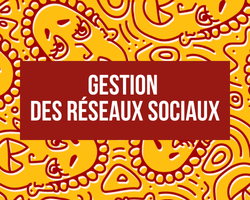 Gestion des réseaux sociaux